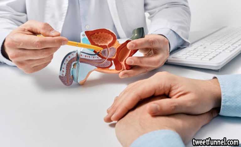 Essential sprinter van business Needs for Success